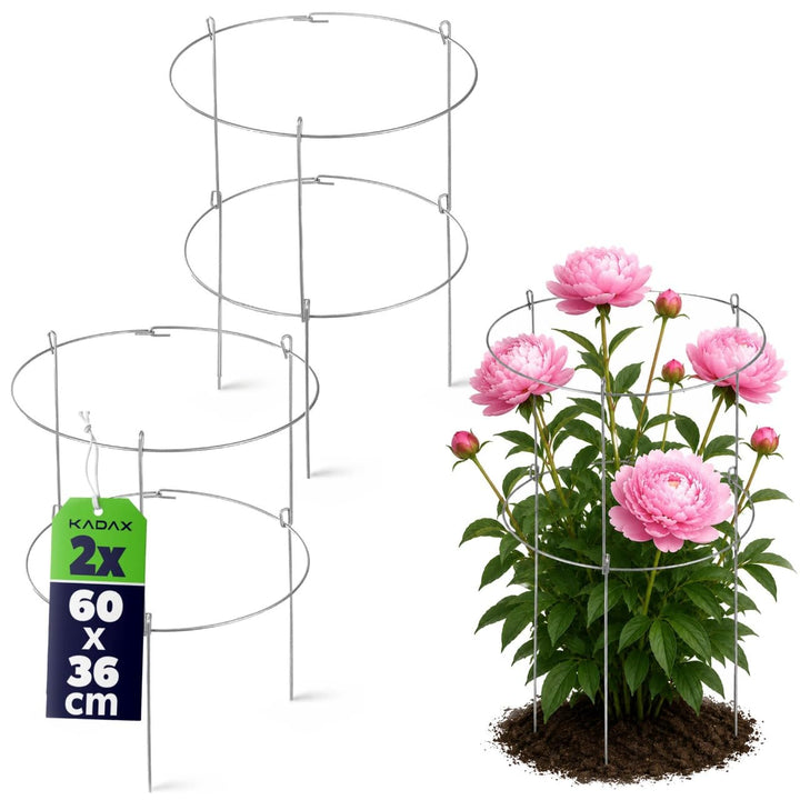 KADAX 2X Gartenstütze aus Stahl pulverbeschichtet Set, Pflanzehalter, Blumenstütze, Pflanzestütze, R