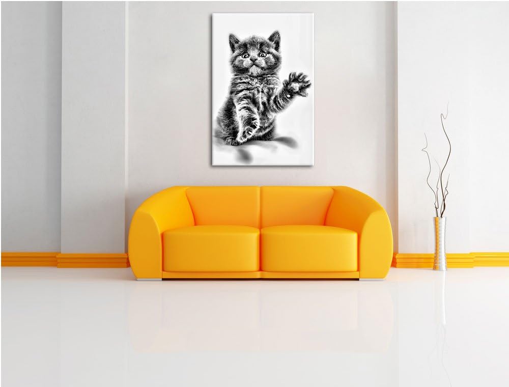 Pixxprint Babykatze die bettelt als Leinwandbild/Grösse: 100x70 / Wandbild/Kunstdruck/fertig bespann