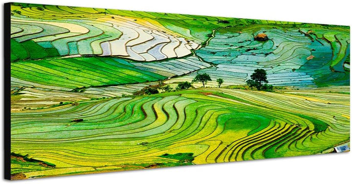 Paul Sinus Art Panoramabild auf Leinwand und Keilrahmen 150x50cm Vietnam Landschaft Reisfelder Terra
