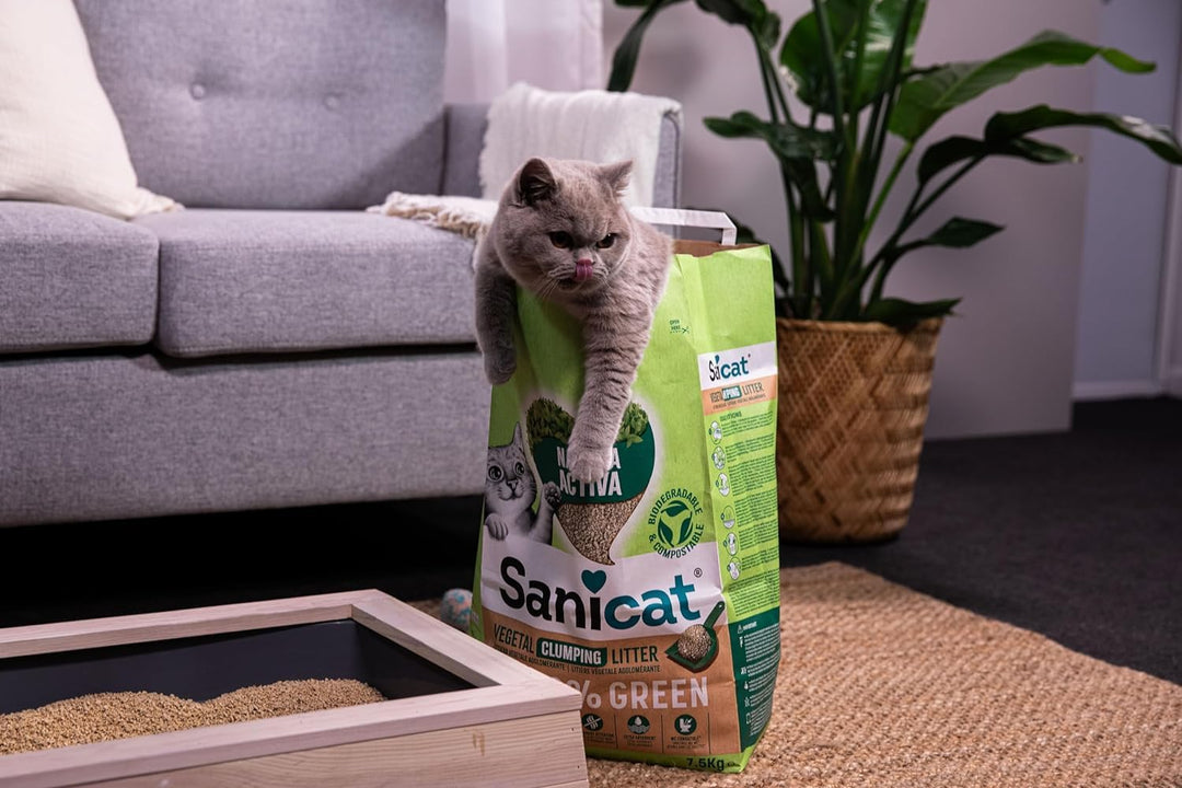 Sanicat – Pflanzliche Klumpstreu Natura Activa 100 % Green | Hohe Absorption und natürliche Klumpenb