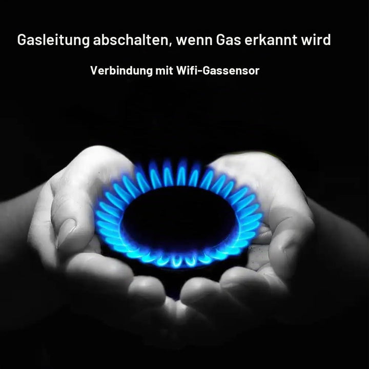Mengshen Smart WiFi Wasserventil Wasserabschaltung WiFi Elektrisches Wasser Gasabsperrung Controller