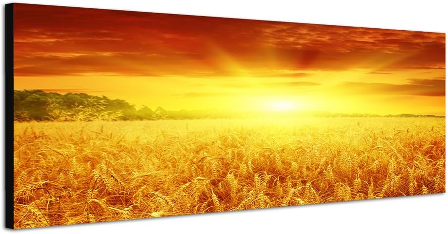 Paul Sinus Art Panoramabild auf Leinwand und Keilrahmen 150x50cm Kornfeld Sonnenuntergang Spätsommer