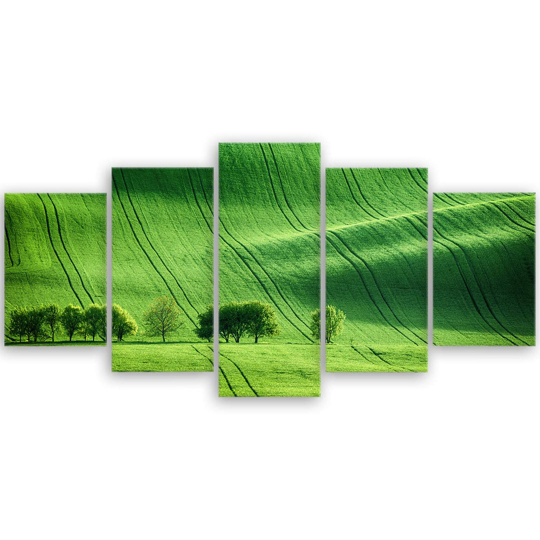 ge Bildet Bild auf Leinwand | Landschaftsbilder - green landscape - Tschechische Republik O in 100x5