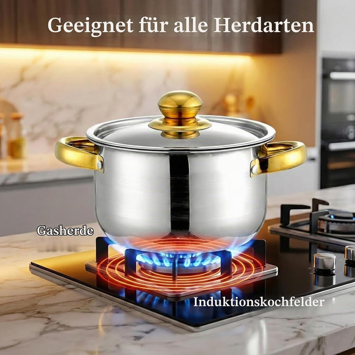 Topfset aus Edelstahl,10-teilig Töpfe Set mit Glasdeckel und Stielkasserolle,Grosses Kochgeschirr In