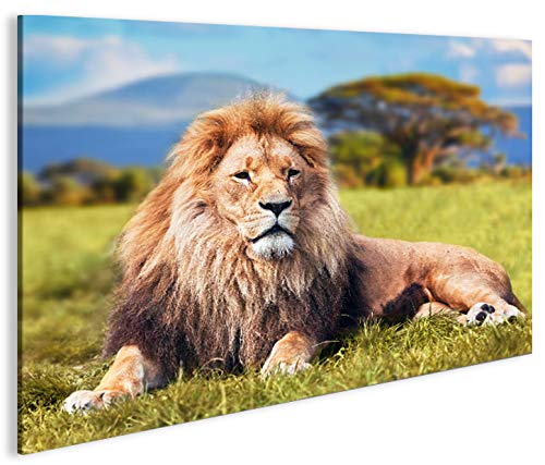 islandburner Bild Bilder auf Leinwand Löwe V2 König der Tiere Löwen 1p XXL Poster Leinwandbild Wandb