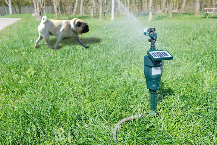Royal Gardineer Katzenvertreiber Wasser: Wasserstrahl-Tierschreck mit PIR-Sensor, Batterie & Solar (