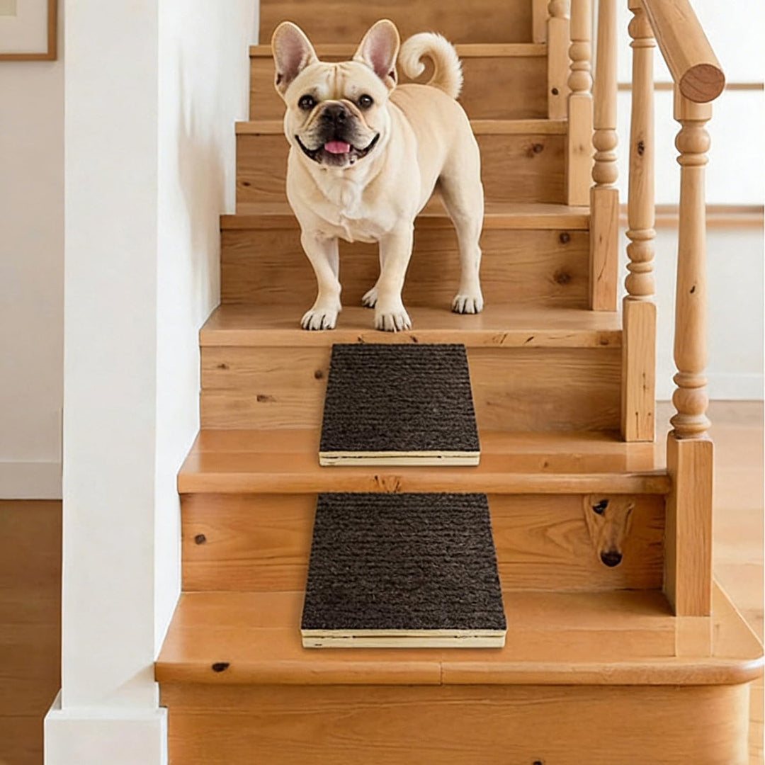 Hunderampe aus Holz mit Rutschfester Teppichoberfläche – Niedrige, schräge Rampe für kleine Hunde, i