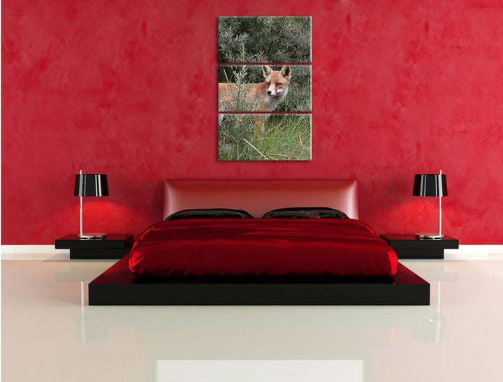 Pixxprint listiger Fuchs im Wildstrauch 3-Teiler Leinwandbild 120x80 Bild auf Leinwand, riesige Bild