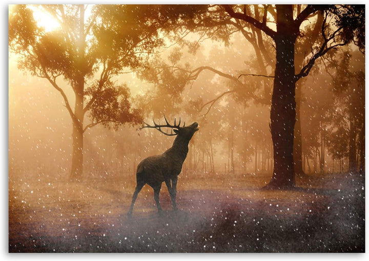 Feeby. Wandbild - 1 Teilig - 60x80 cm, Leinwand Bild Leinwandbilder Bilder Wandbilder Kunstdruck, HI