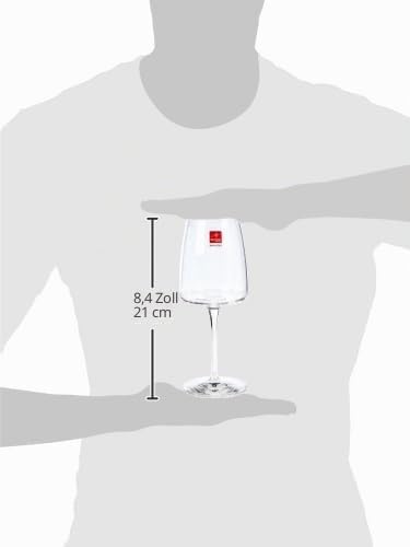 Bormioli Rocco Bormioli 6er Set Geschenkkarton 262 ml Sektglas (Nexo, Geschenkset, Sektkelch, klar,
