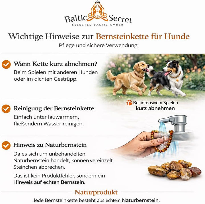 Bernsteinkette Hund | Bernsteinhalsband für Hunde und Katzen | Hundehalsband I Natürliches Halsband