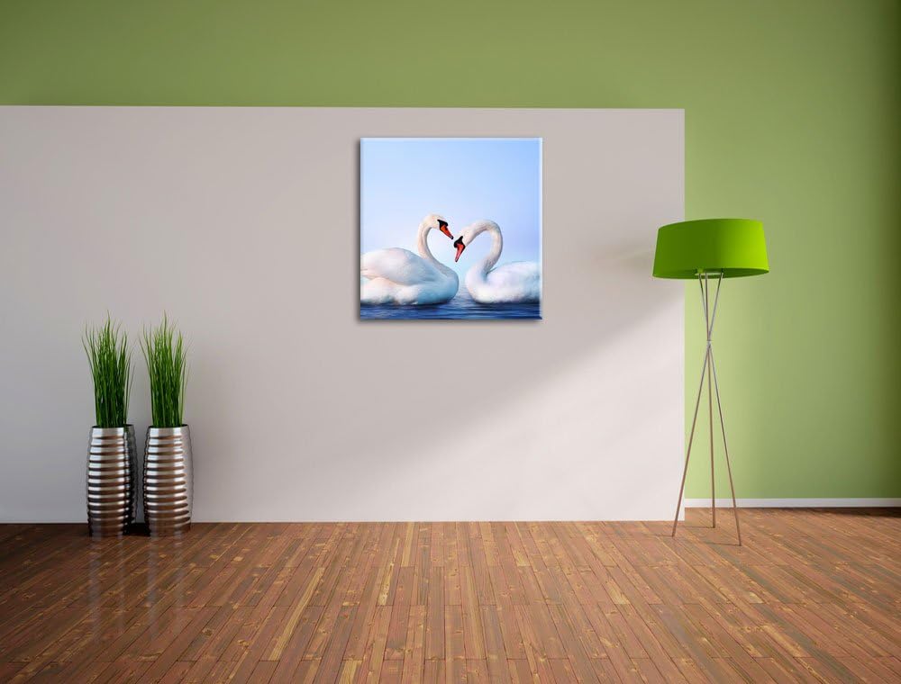 Pixxprint Zwei prächtige Schwäne auf dem Wasser, Format: 70x70 auf Leinwand, 70x70