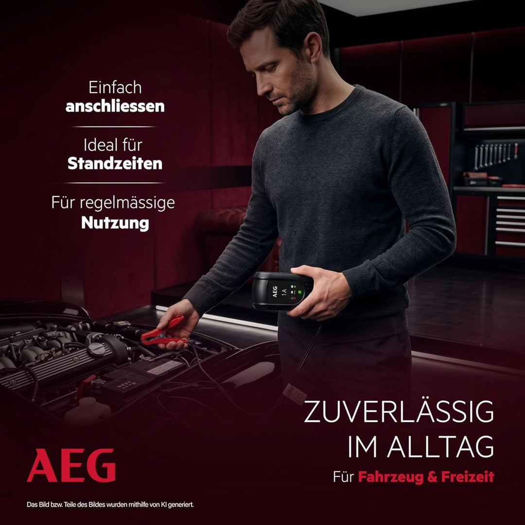 AEG Automotive 97175 Microprozessor Batteriepulser MB 1.0, 12 Volt Batterietrainer 4 stufig, Dauerer