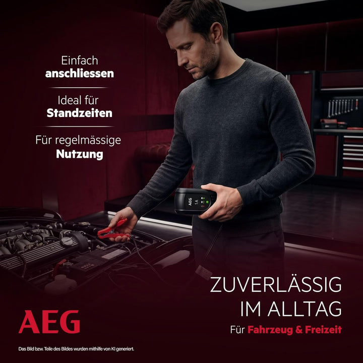 AEG Automotive 97175 Microprozessor Batteriepulser MB 1.0, 12 Volt Batterietrainer 4 stufig, Dauerer