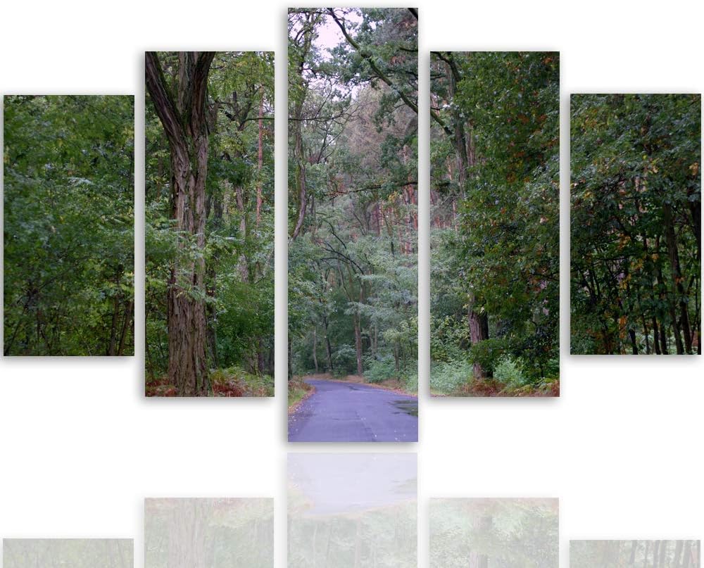 Feeby Leinwandbild 5 Teilig Landschaft Bild Wanddeko Natur Weg Wald Bäume grün 150x100 cm Leinwandbi