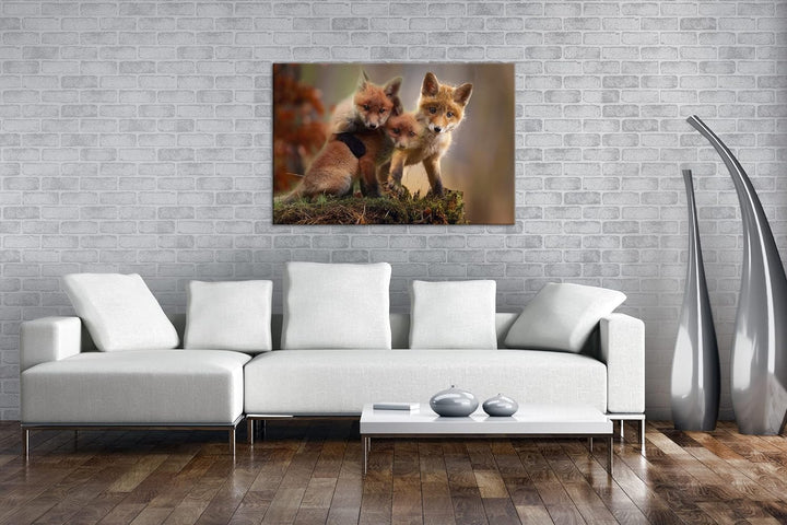 deyoli Kleine Familie von Rotfüchsen Format: 100x70 als Leinwand, Motiv fertig gerahmt auf Echtholzr