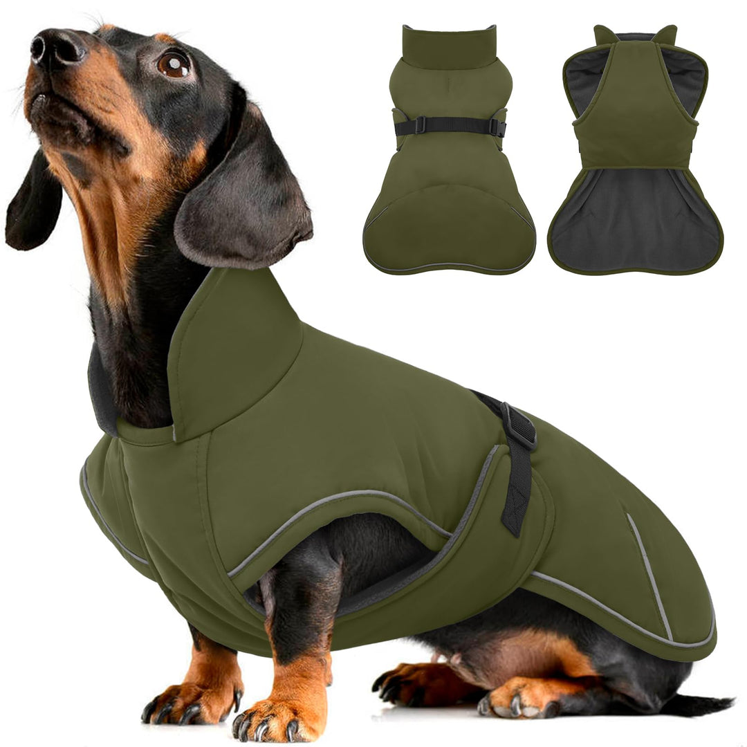 Hundemantel Dackel L, Winddichter Wasserdichter Wintermantel Für Dackel Hunde, Hundejacke Für Kleine