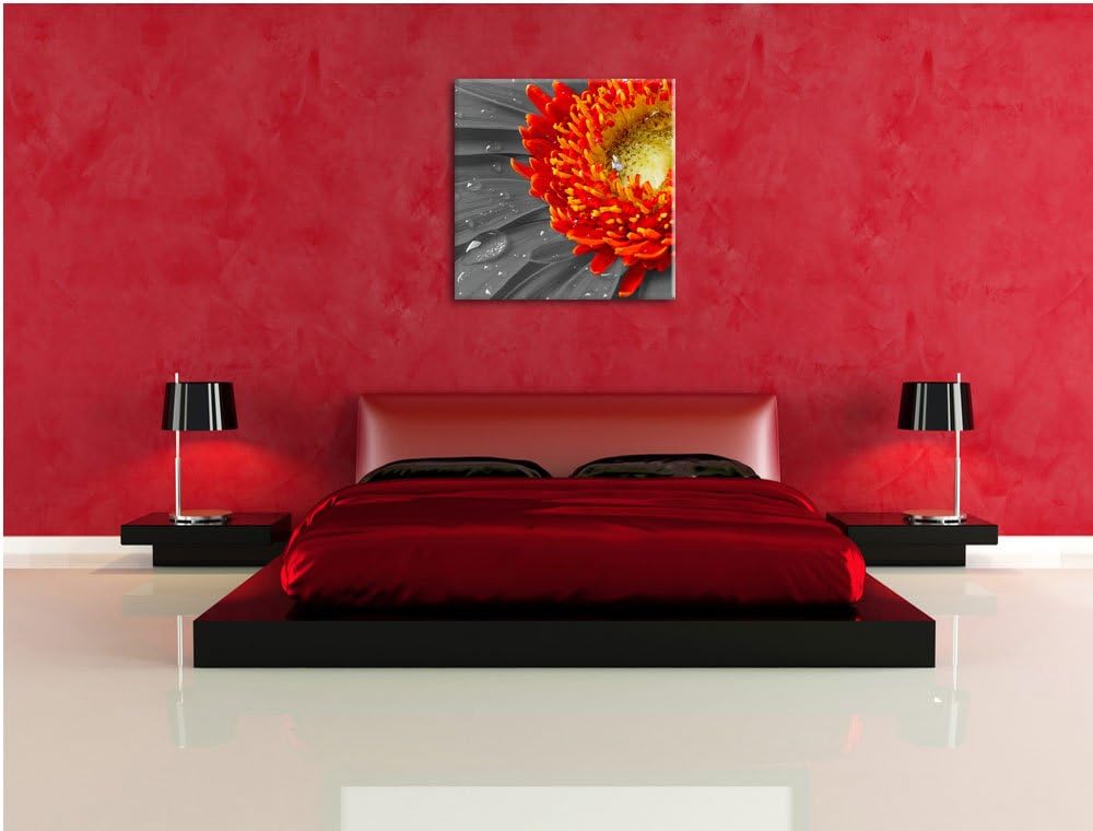 Pixxprint Gerbera mit Wassertropfen als Leinwandbild Quadratisch/Grösse: 70x70 / Wandbild/Kunstdruck