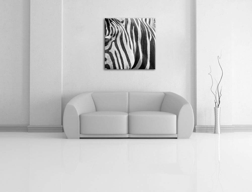 Pixxprint Zebra Porträt, Format: 70x70 auf Leinwand, XXL riesige Bilder fertig gerahmt mit Keilrahme
