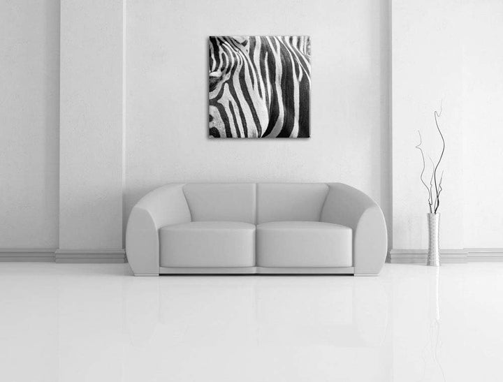 Pixxprint Zebra Porträt, Format: 70x70 auf Leinwand, XXL riesige Bilder fertig gerahmt mit Keilrahme