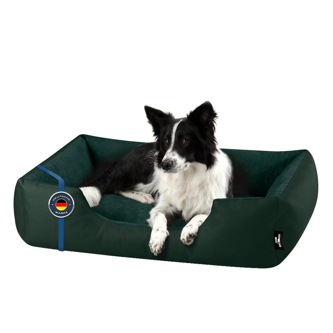 BedDog Hundebett Zara, Hundekissen mit abziehbaren waschbaren Bezug, Hundekorb, Hundesofa, für mitte