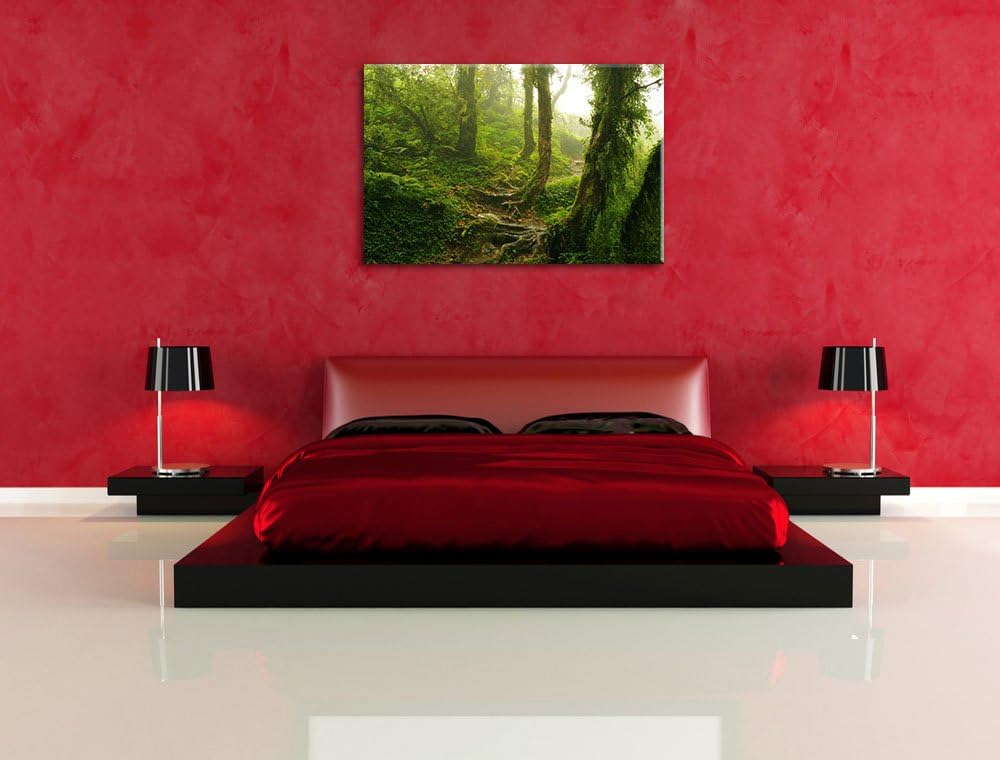 Unberührter Regenwald, Format: 100x70 auf Leinwand, XXL riesige Bilder fertig gerahmt mit Keilrahmen