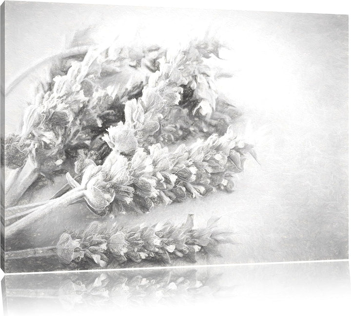 Pixxprint getrockneter Lavendel Kunst als Leinwandbild/Grösse: 100x70 cm/Wandbild/Kunstdruck/fertig