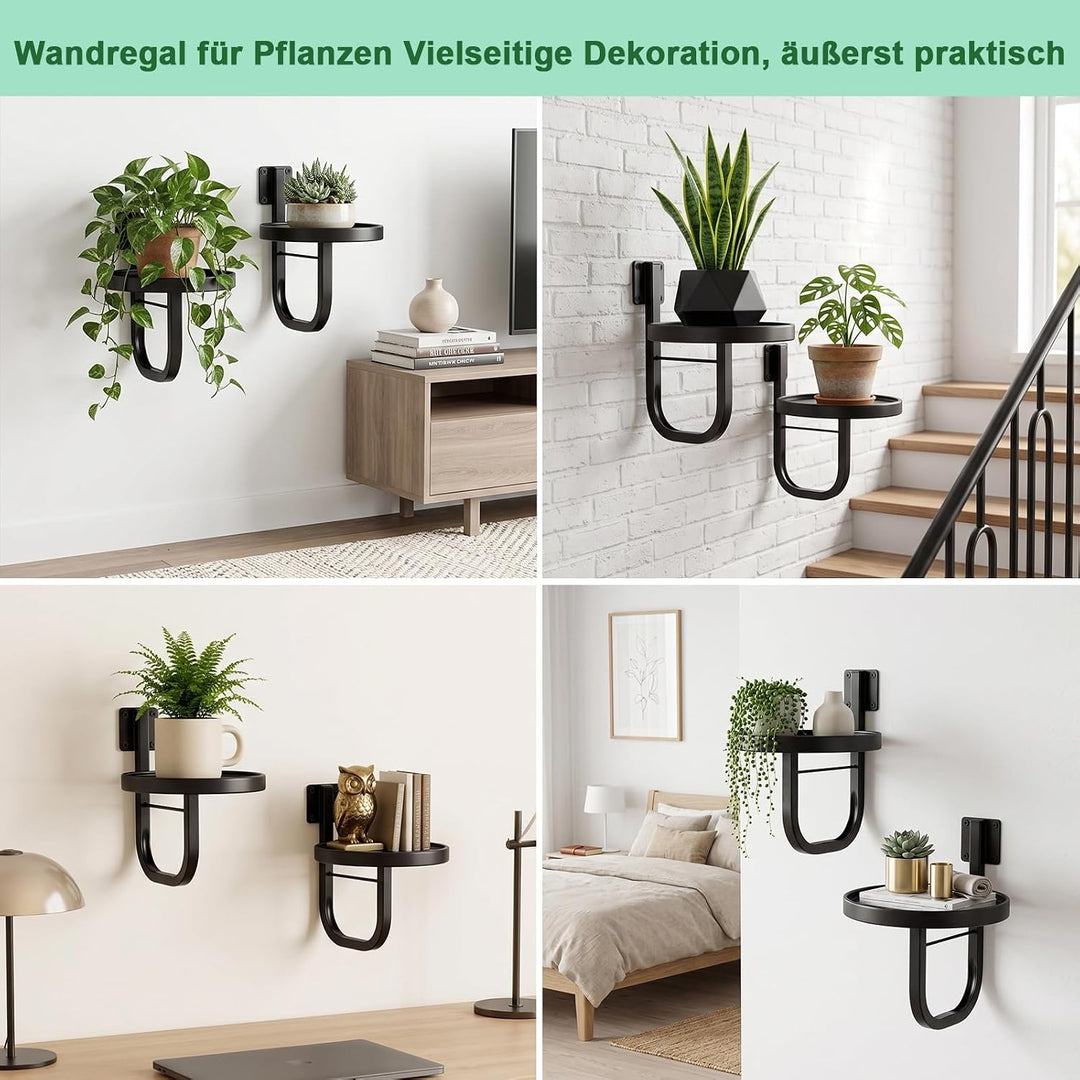 ERWEY Wandbehang Pflanzgefässe für Zimmerpflanzen, 2 Stück Metall Fenster Anlagenhalter, Moderne Pfl