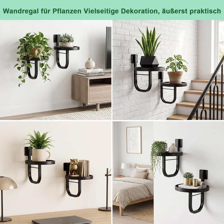 ERWEY Wandbehang Pflanzgefässe für Zimmerpflanzen, 2 Stück Metall Fenster Anlagenhalter, Moderne Pfl