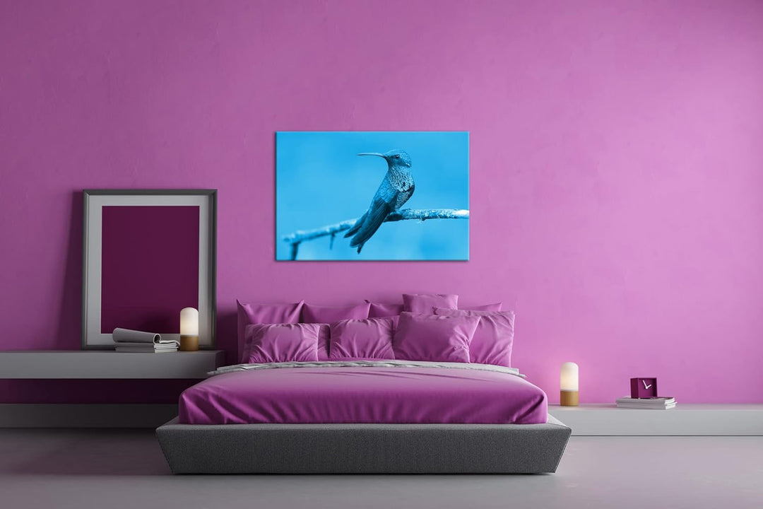 deyoli ruhig sitzender Kolibri Format 100x70 Effekt: Monocrome Blau als Leinwandbild, Motiv fertig g