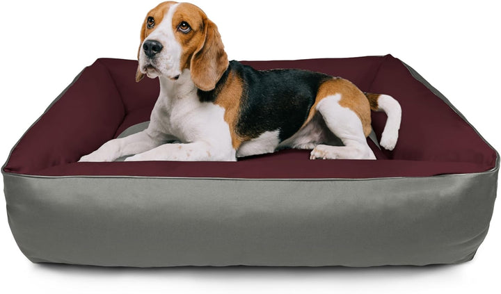 BedDog Hundebett 2in1 MAXQ, Hundekissen mit abziehbaren waschbaren Bezug, Hundekorb, Hundesofa, für