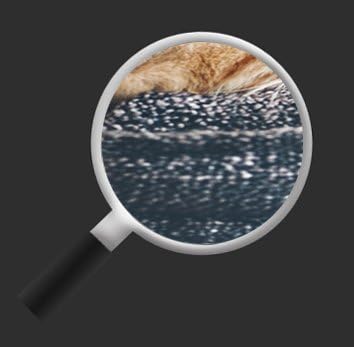 islandburner Bild Bilder auf Leinwand Katze mit Decke gemütlich Panorama XXL Poster Leinwandbild Wan