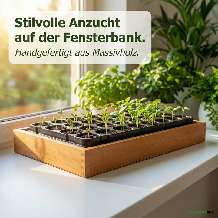 GREEN24 Gewächshaus Style-Box Beige GK5331H für Bewässerungswanne + Topfplatte - Birke Massivholz ge