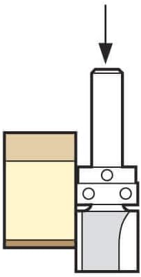 Trend Profiler 19,1mm Durchmesser x 50mm Schnitt, nur zum Fälzen und Besäumen von Kanten, C166X12MMT