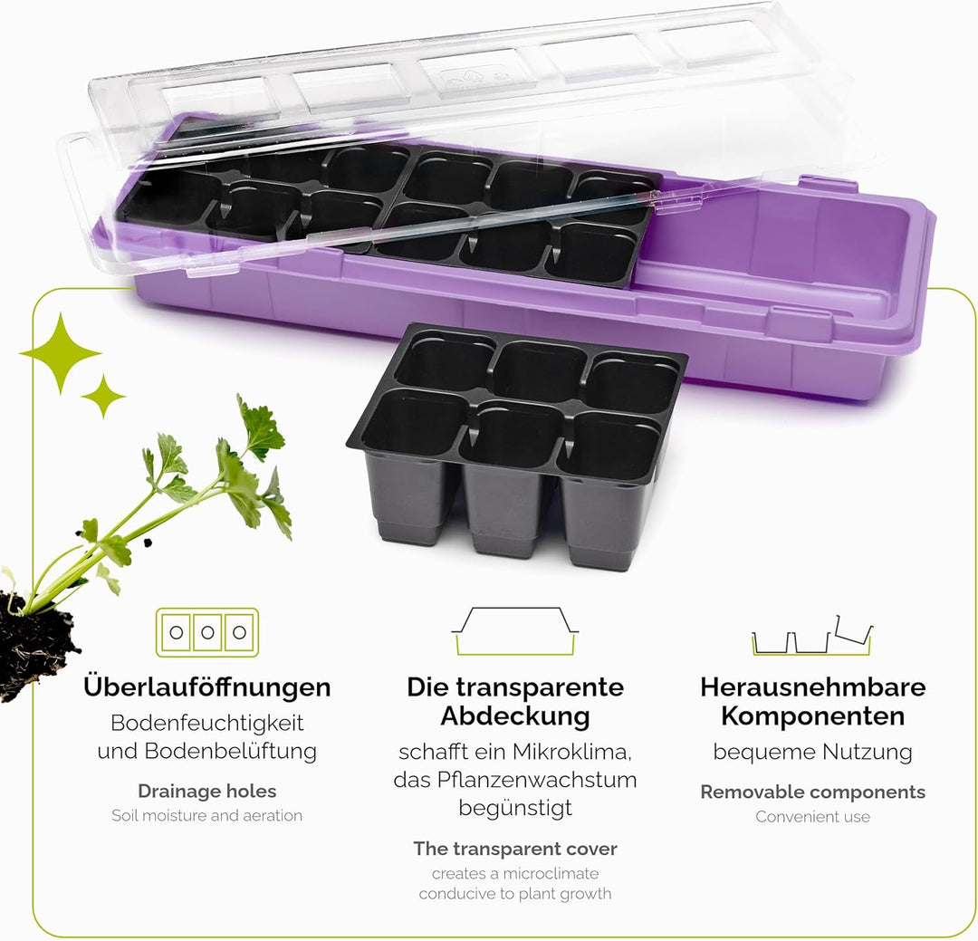 Mini Gewächshaus Anzuchtkasten Pflanzen im Innenbereich Anzuchttöpfe GD-0043 (47x16 cm; Violett, 6 S