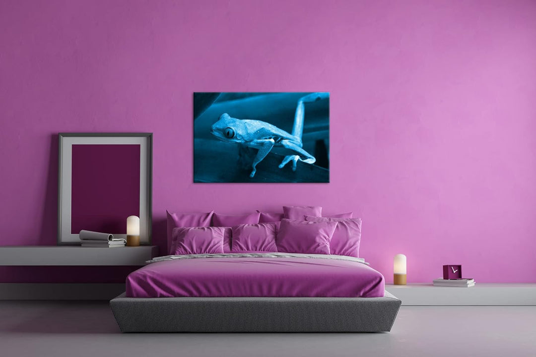 deyoli Exotischer Grüner Frosch mit roten Augen Format 80x60 Effekt: Monocrome Blau als Leinwandbild