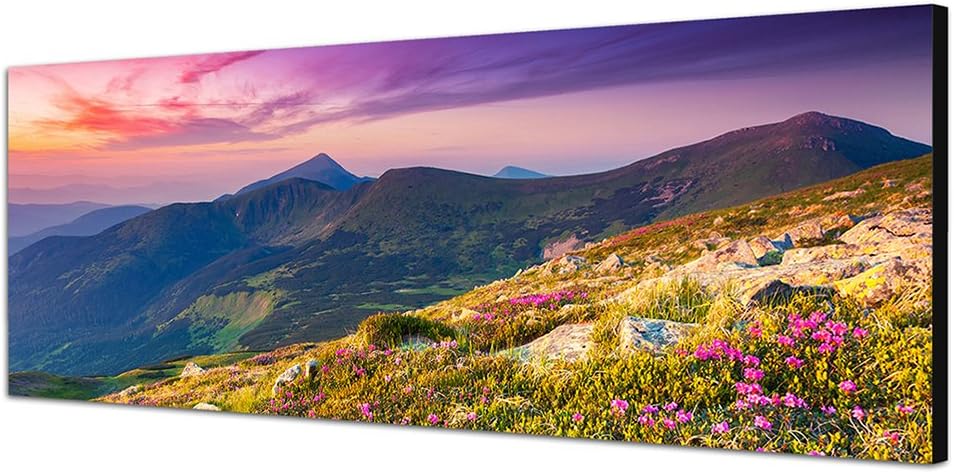 Paul Sinus Art Panoramabild auf Leinwand und Keilrahmen 150x50cm Ukraine Berge Blumenwiese Abendrot