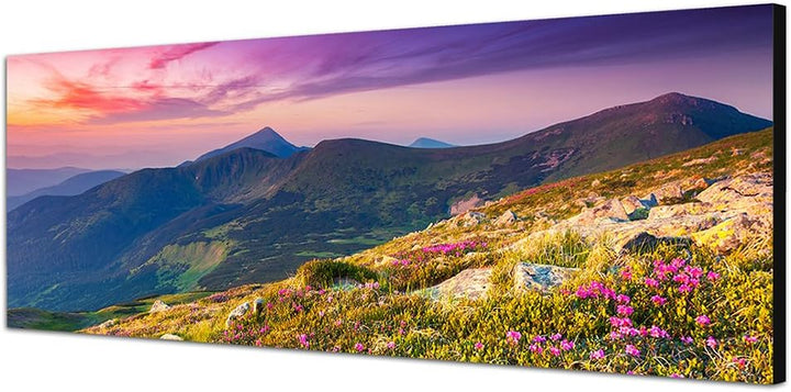 Paul Sinus Art Panoramabild auf Leinwand und Keilrahmen 150x50cm Ukraine Berge Blumenwiese Abendrot