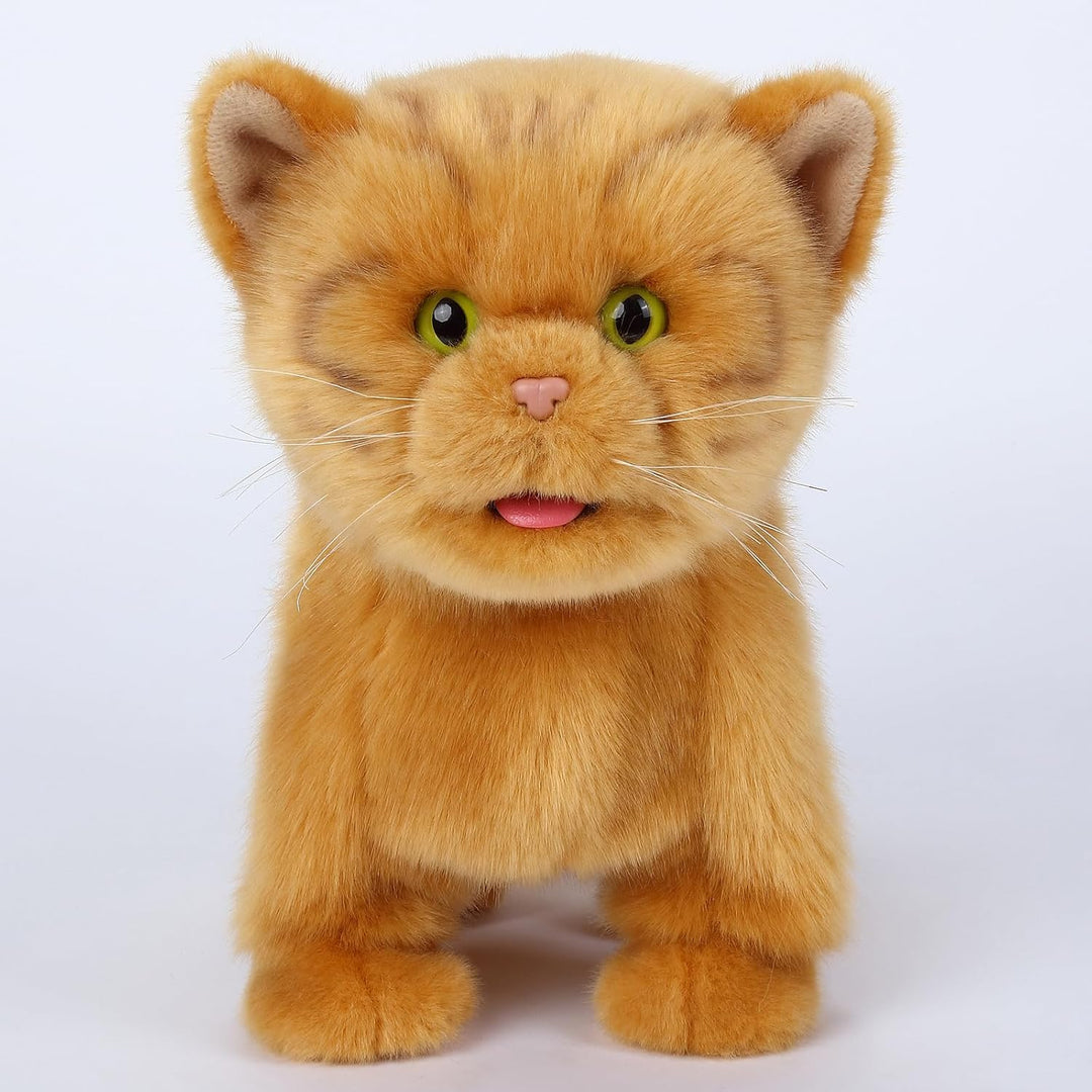 CU-MATE Elektrische und orangene Katzen, die praktische interaktion mit welpen, die gehen, bellen, m
