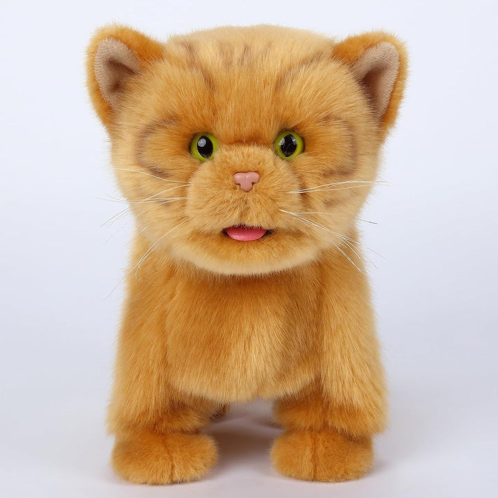 CU-MATE Elektrische und orangene Katzen, die praktische interaktion mit welpen, die gehen, bellen, m