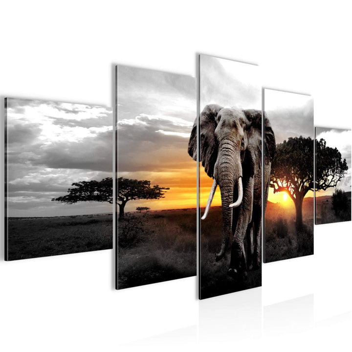 Runa Art Wandbilder Afrika Elefant 5 Teilig Bild auf Vlies Leinwand Deko Wohnzimmer Schlafzimmer Pan