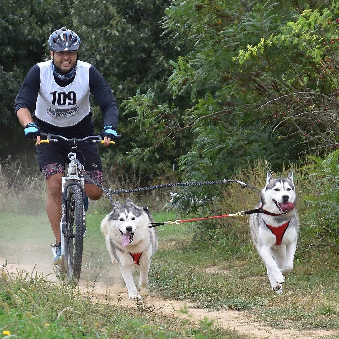 Northern Howl Power Race Hunde Zuggeschirr, verstellbar, Rücken frei, Bikejöring Dogscooting Schlitt