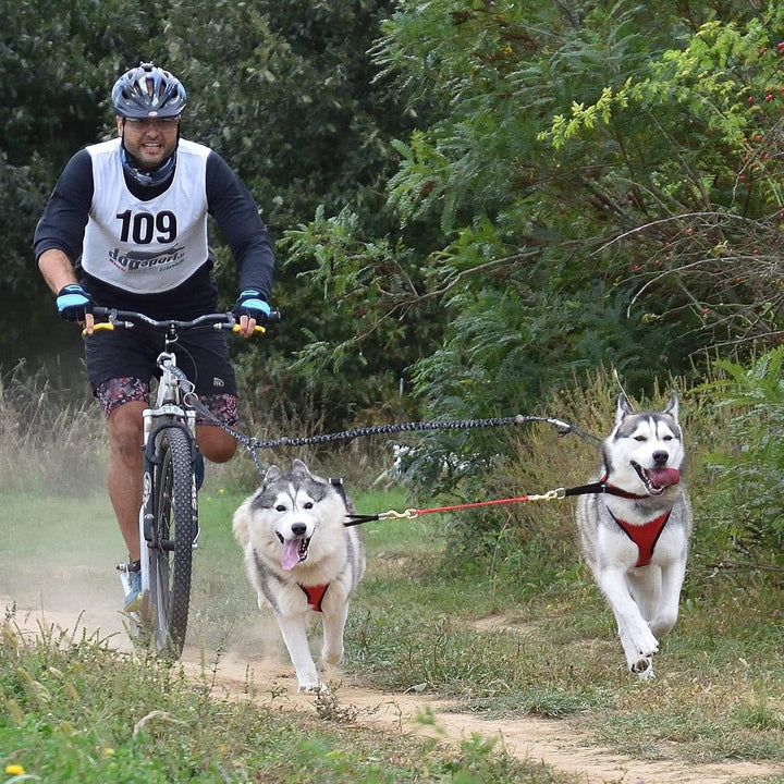 Northern Howl Power Race Hunde Zuggeschirr, verstellbar, Rücken frei, Bikejöring Dogscooting Schlitt