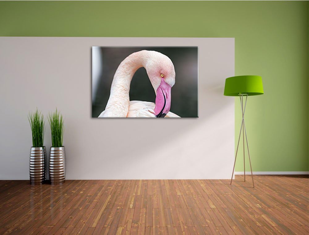 Pixxprint Flamingo beim Putzen auf Leinwand, XXL riesige Bilder fertig gerahmt mit Keilrahmen, Kunst