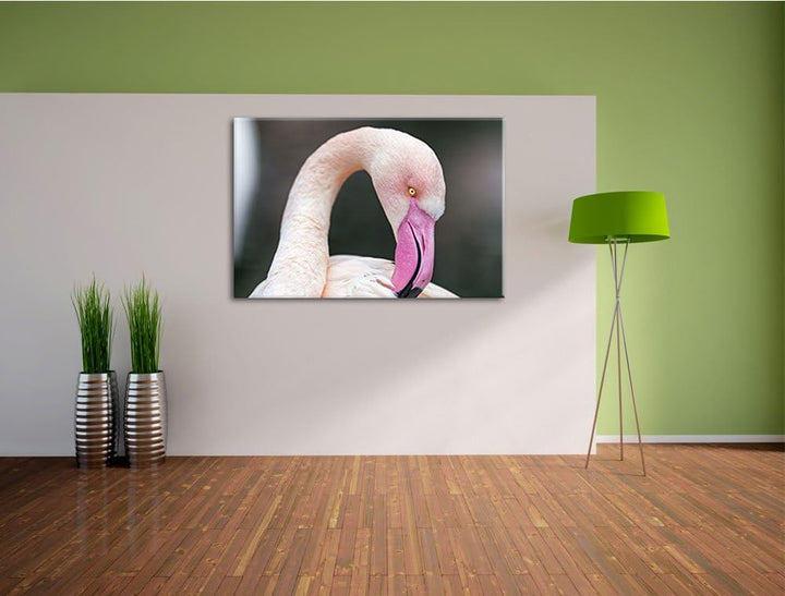 Pixxprint Flamingo beim Putzen auf Leinwand, XXL riesige Bilder fertig gerahmt mit Keilrahmen, Kunst