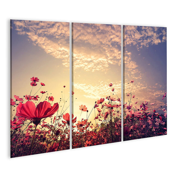 islandburner Bild auf Leinwand Landschaft Natur Schöne Rosa Roten Kosmos Blumenfeld Mit Sonnenschein