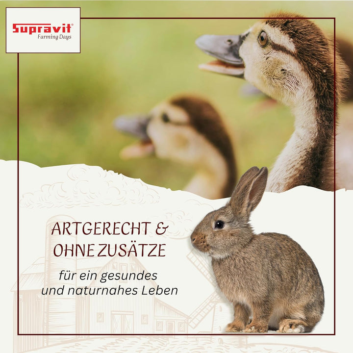 SUPRAVIT Weizen Futterweizen - 25kg aus regionaler Landwirtschaft - Ideales Einzelfuttermittel für T
