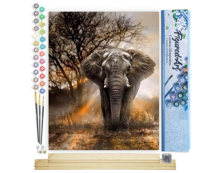 Figured'Art Malen Nach Zahlen Erwachsene Mit Rahmen Einsamer Elefant - Paint by Numbers Basteln DIY