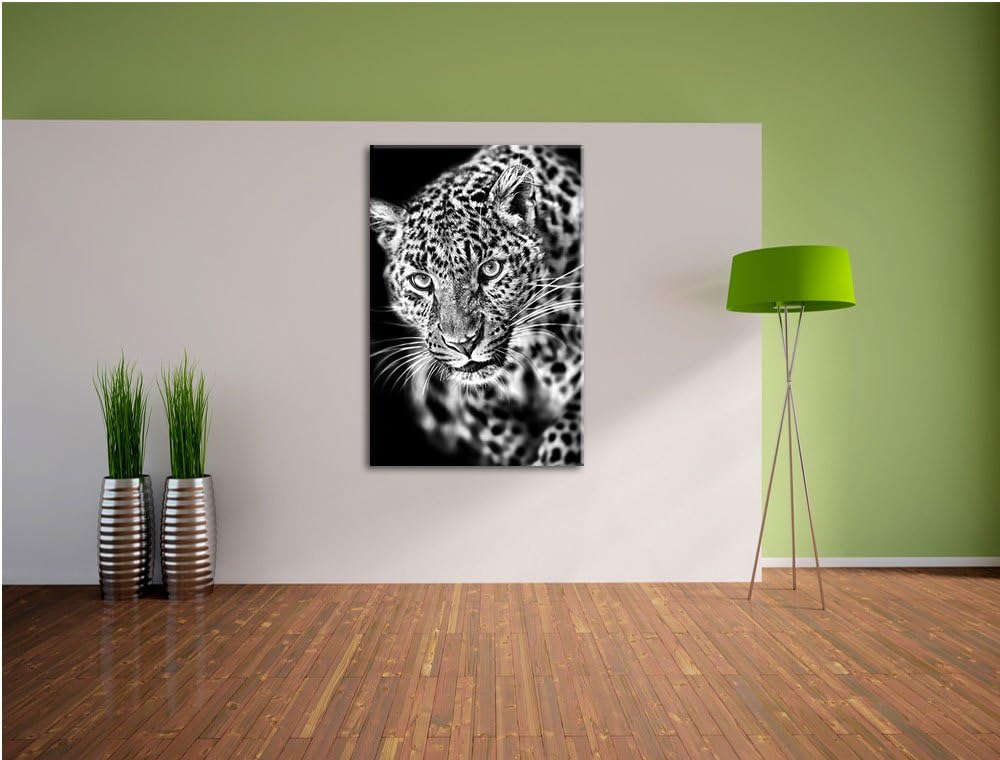 Pixxprint Anmutiger Leopard als Leinwandbild/Grösse: 100x70 / Wandbild/Kunstdruck/fertig bespannt, 1