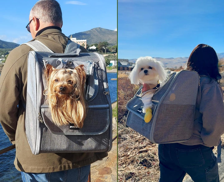 pecute Katzenrucksack Haustier Rucksack mit Netzfenster, Tragbare und Faltbare Katzentasche, Atmungs